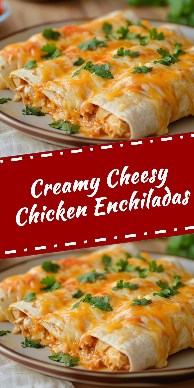 Chicken Enchiladas with Cheese Sauce